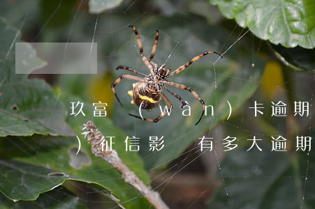 玖富萬(wàn)卡逾期多久上報(bào)征信影響有多大，逾期多久會(huì)影響玖富萬(wàn)卡的信用記錄？深入了解逾期對(duì)個(gè)人征信的影響